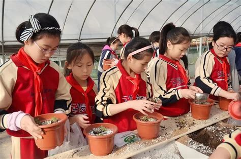 【原创】赏花、游园、踏青去哪里金昌有个乡村旅游好去处澎湃号·政务澎湃新闻 The Paper