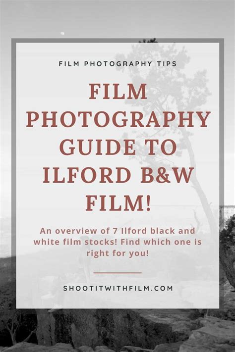 Ilford Black and White Film Guide - Which One is Right for You? » Shoot ...