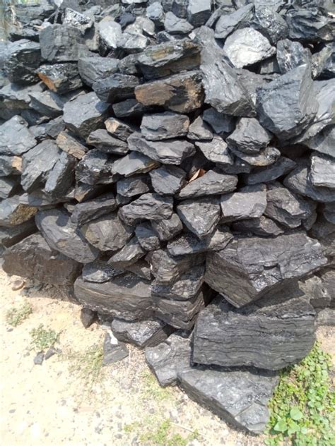 Black Lumps Indonesian Steam Coal For Burning Packaging Type Loose