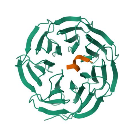 Rcsb Pdb Es X Ray Structure Of Wdr Setd B Win Motif Peptide