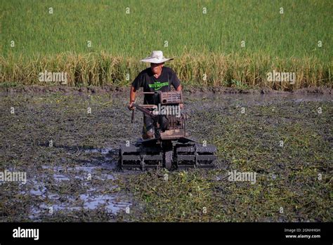 Taytay Rizal Philippines 24th Sep 2021 A Farmer Plows Clears The