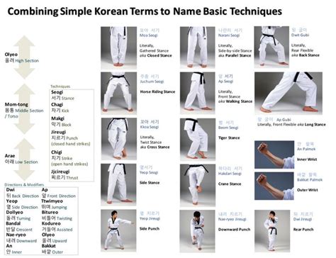 Basicterms1 Taekwondo Techniques Taekwondo Taekwondo Forms