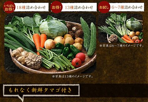 九州野菜お試しセット・詰め合わせ： 自然の都タマチャンショップ