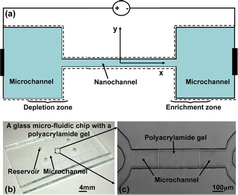 Geometrical Model For Numerical Simulation And Micronanofluidic Chip Download Scientific