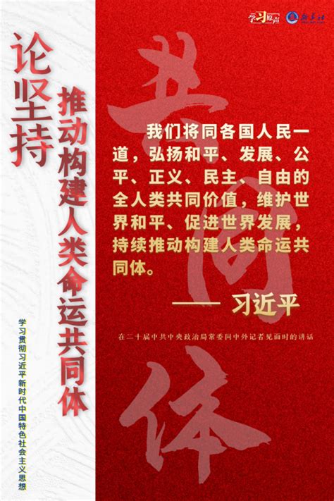 学习原声·聆听金句｜论坚持推动构建人类命运共同体新民时政新民网