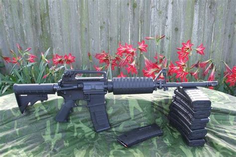 Spring Has Spung Colt Forum