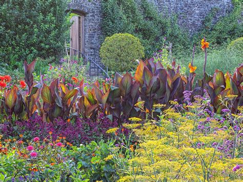 Aberglasney Mansion And Gardens Visitwales