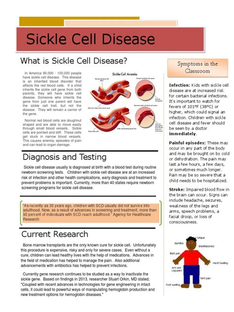 Fact Sheet Sickle Cell Edu 214 2013 Pdf Sickle Cell Disease Health Sciences