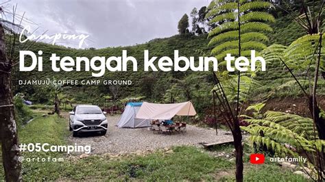 CAMPING DI TENGAH KEBUN TEH Djamuju Coffee Camp Ciwidey ASMR