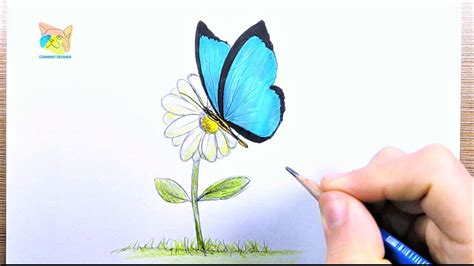 Comment Dessiner Un Papillon Sur Une Fleur YouTube