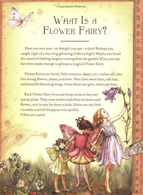 Pin On Fairy Gardens And Flower Fairies