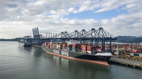 Supply Chains Latest China Port Delays Add Disruptions To Trade