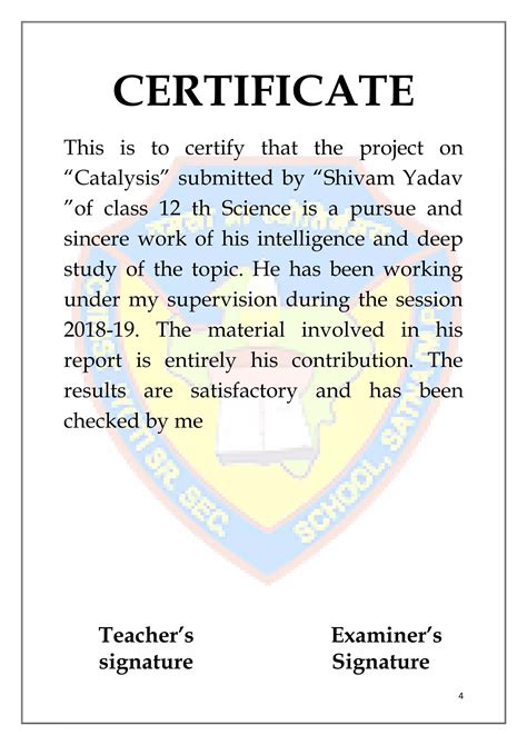 Catalysis Chemistry Project | PDF