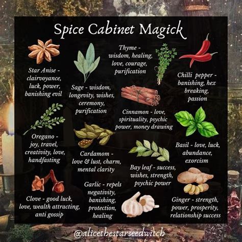 A L I C E On Instagram SPICE CABINET MAGICK Did You Know That You