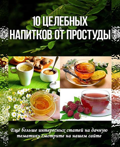 10 целебных напитков от простуды. | Напитки, Средства от простуды ...