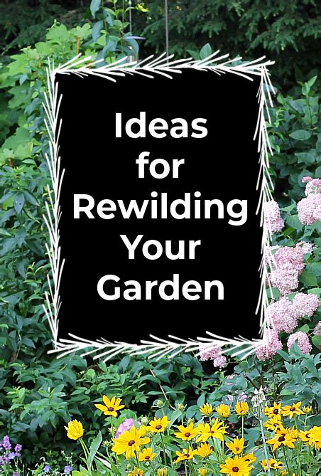 Rewild Your Garden Ideas And Tips Hearth And Vine