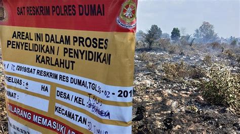 Polda Riau Tetapkan Tersangka Perusahaan Pembakar Lahan Di Siak