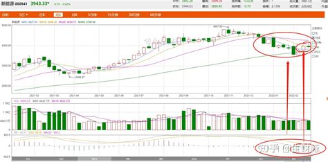 3月4日基金午盘分析 知乎