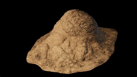 Termite Mounds - Vol 1 in Props - UE Marketplace