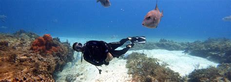 Scuba Diving the Belize Barrier Reef