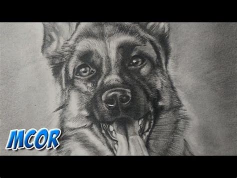 Aprende A C Mo Dibujar Perros Paso A Paso Aqu El Mejor Tutorial Para