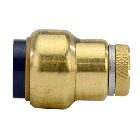 Tectite 1 2 In Brass Push To Connect Cap With Drain FSBCAP12WD The