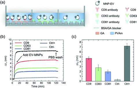 Towards Nanovesicle Based Disease Diagnostics A Rapid Single Step