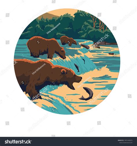 Grizzly Bear Catching Salmon