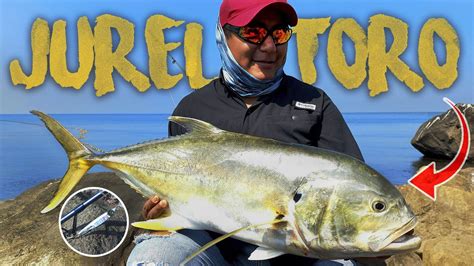 Pesca De Jurel Toro Día De Jureles Parte 1 Pesca En Coatzacoalcos