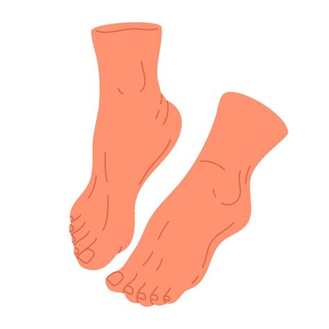 Human Naked Feet Hand Drawn Barefoot Legs Bare Pair Feet In Relaxed Position Flat Isolated