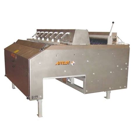 Counting Weighing Machine For The Food Industry Avn Cwxxev