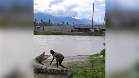 Viral Pria Beri Makan Buaya Di Sungai Palu Nyaris Diterkam Youtube