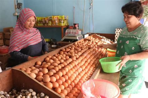 Masih Mahal Harga Telur Di Jakarta Hari Ini Tembus Rp Per Kg