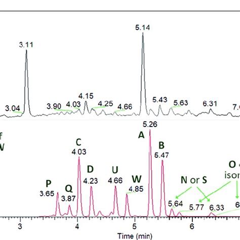 Full Scan Ms Chromatogram And Extracted Ion Chromatogram Of Tentatively