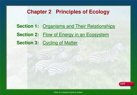 Ppt Chapter 2 Principles Of Ecology Powerpoint Presentation Free Download Id 5572981