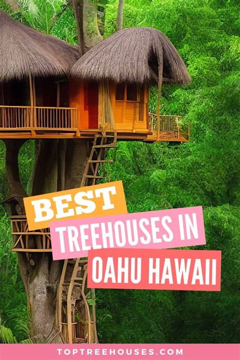 Best Treehouse Rentals Oahu Hawaii 2024 Top Treehouses