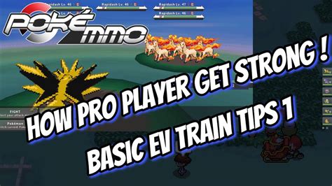 PokeMMO Indonesia Tips Jadi Pro Player 1 Tips Basic How To EV Train