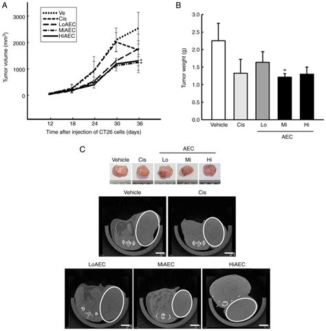 Anti‑tumor Effects Of An Aqueous Extract Of Ecklonia Cava In Balbckorl