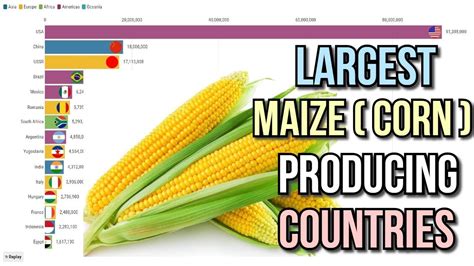 Largest Maize Corn Producing Countries Youtube