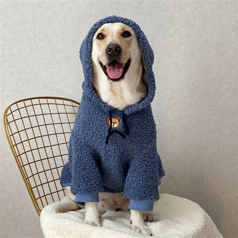 Pet Clothes For Small & Medium Dog, "i Still Live With Parents" Dog T-shirts Cat Clothes, Pet ...