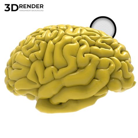 Premium Psd Yellow Human Brain 3d Render Isolated