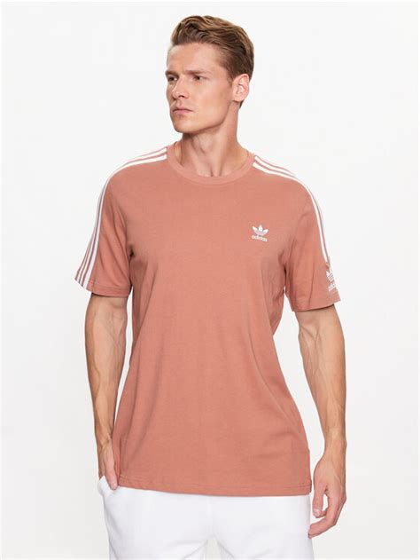 Adidas T Shirt Adicolor Classics Trefoil T Shirt Ia Braun Regular