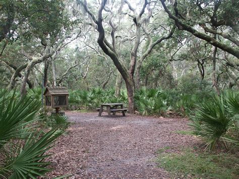 Cumberland Island National Seashore Camping Explore Georgia