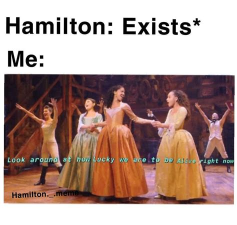 Exactly Hamilton Memes Hamilton Hamilton Jokes