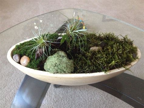 23 Miniature Moss Garden Ideas You Cannot Miss Sharonsable