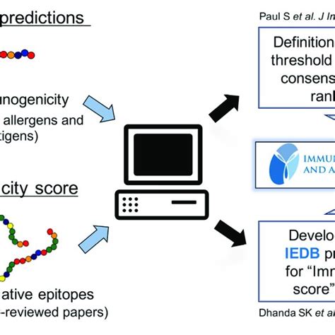 Mhc Peptide Binding Assays Mhc Binding Affinities Are Determined In Download Scientific