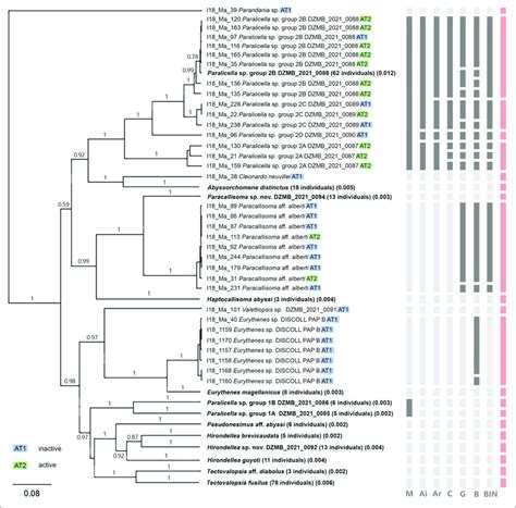 Bayesian Inference Tree For Co Data Individuals Tree