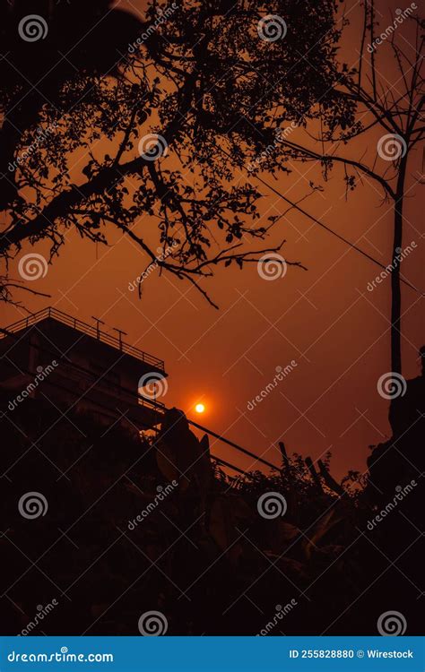 Silhouette of a Building and a Tree Branch during Sunset Stock Photo ...