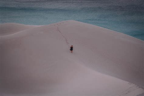 Socotra A Hidden Paradise In The World