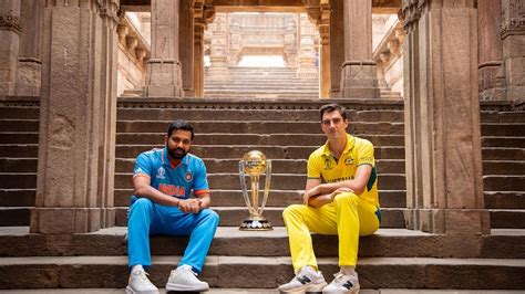 scorecard cricket world cup final india  australia abc news